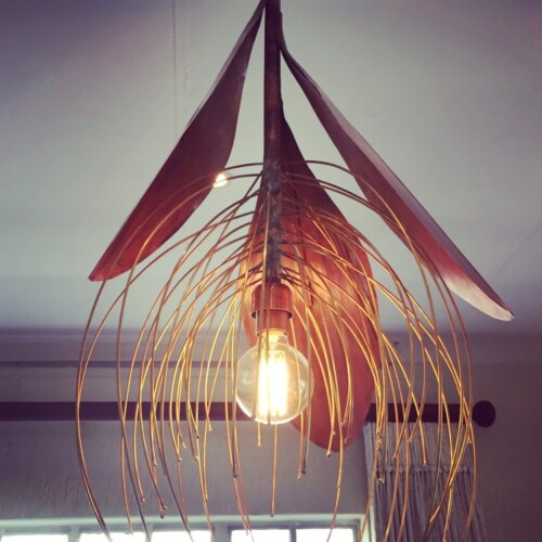 Protea Hanging Light